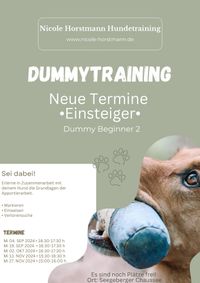 Hund Betreuung Spaziergang Dienstleistung Haustier Foto Flyer Olivgrün Wei&szlig; Hochformat